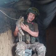 ���������� ������, ���� ������� ��������, 38 ���, ������������ ��� ������, ����� � ���������, c�������� ���������