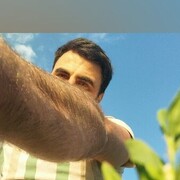 ���������� ���������, ���� ������� �������, 31 ���, ������������ ��� ������, ����� � ���������