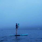 ���������� �����������, ���� ������� �����, 34 ����, ������������ ��� ������, ����� � ���������, c�������� ���������, ���������