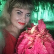 ���������� ����, ���� ������� �����, 50 ���, ������������ ��� ������, ����� � ���������, c�������� ���������