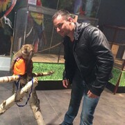  ,   , 45 ,   ,   