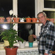  ,   Fehev, 76 ,   