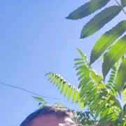  ,   , 45 ,   ,   , c , 
