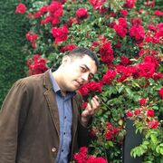 ���������� ������, ���� ������� ������, 41 ���, ������������ ��� ������, ����� � ���������, c�������� ���������, ���������