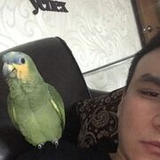  ,   , 30 ,   ,   , 