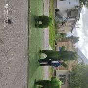 ���������� �������, ���� ������� ����, 53 ����, ������������ ��� ������, ����� � ���������