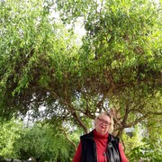  -,   , 70 ,   ,   , c 