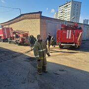 ���������� ������, ���� ������� ��������, 29 ���, ������������ ��� ������, ����� � ���������, ���������