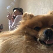 ���������� ���������, ���� ������� �����, 30 ���, ������������ ��� ������, ����� � ���������, c�������� ���������, ���������