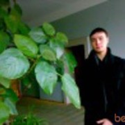 ���������� ����, ���� ������� Andrey, 38 ���, ������������ ��� ������, ����� � ���������, c�������� ���������