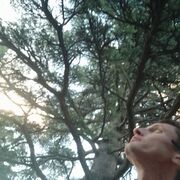 ���������� �����������, ���� ������� �����, 40 ���, ������������ ��� ������