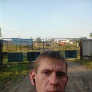  ,   Root, 37 ,  