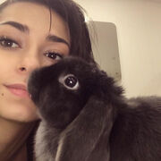 ���������� �������, ���� ������� �����, 32 ����, ������������ ��� ����� � ���������, c�������� ���������