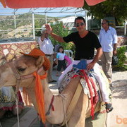 ���������� ����, ���� ������� ������, 49 ���, ������������ ��� ������