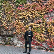 ���������� �����������, ���� ������� �����, 29 ���, ������������ ��� ������, ����� � ���������, c�������� ���������, ���������