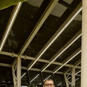 ���������� ������, ���� ������� ����, 41 ���, ������������ ��� ������, ����� � ���������