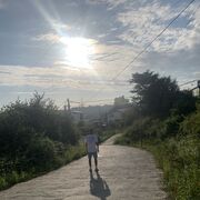 ���������� ����, ���� ������� ������, 33 ����, ������������ ��� ������, ����� � ���������