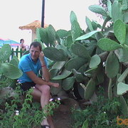  ,   Oleg, 41 ,  