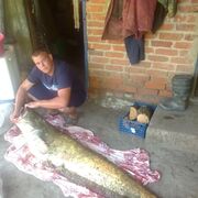  ,   , 26 ,     , c , 