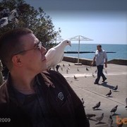  ,   , 54 ,   