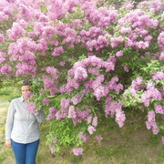  ,   , 40 ,     , c 