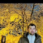 ���������� �����������, ���� ������� ������, 29 ���, ������������ ��� ������, ����� � ���������