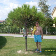  ,   , 67 ,   ,   , c 