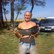 ���������� ���������, ���� ������� ���, 52 ����, ������������ ��� ������