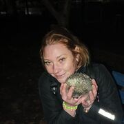 ���������� �����, ���� ������� ��������, 36 ���, ������������ ��� ������, ����� � ���������