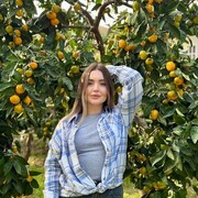 ���������� ����, ���������