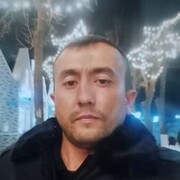  ,  Alii, 22