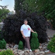 ���������� ��������, ���� ������� �����, 56 ���, ������������ ��� c�������� ���������