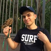  ,   , 29 ,   ,   , c 