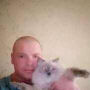 ���������� ����������, ���� ������� ������, 36 ���, ������������ 