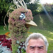 ���������� ������, ���� ������� �����, 49 ���, ������������ ��� ������, ����� � ���������