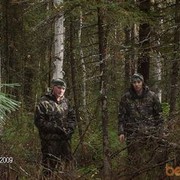 ���������� �������, ���� ������� ������, 36 ���, ������������ ��� ������