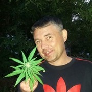 ���������� ���������, ���� ������� ������, 40 ���, ������������ ��� ������, ����� � ���������, c�������� ���������