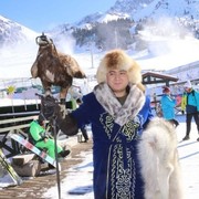 ���������� ���������, ���� ������� Javod, 33 ����, ������������ ��� ������, ����� � ���������, c�������� ���������