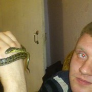 ���������� ��������, ���� ������� ��������, 36 ���, ������������ ��� ������, ����� � ���������, c�������� ���������