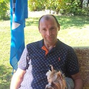 ���������� ���������, ���� ������� ���������, 50 ���, ������������ ��� ������, ����� � ���������