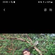 ���������� �����������, ���� ����� ���������, 23 ����, ������������ ��� ������, ����� � ���������