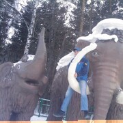 ���������� ����������, ���� ������� Sergey, 35 ���, ������������ ��� ������, ����� � ���������, c�������� ���������, ���������