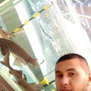 ���������� ���������, ���� ������� �����, 33 ����, ������������ ��� ������, ����� � ���������, c�������� ���������