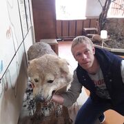  ,   , 41 ,   ,   , c 