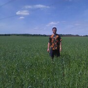 ���������� �������, ���� ������� ����, 38 ���, ������������ ��� ������, ����� � ���������, c�������� ���������