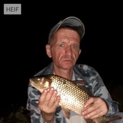  ,   , 49 ,     , c 