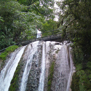 ���������� ���, ���� ������� ������, 59 ���, ������������ 