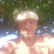 ���������� ������-��-����, ���� ������� ���������, 72 ����, ������������ ��� ������, ����� � ���������, c�������� ���������