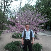  ,   , 54 ,  