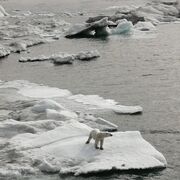 ���������� �����������, ���� ������� �������, 45 ���, ������������ ��� ������, ����� � ���������, c�������� ���������